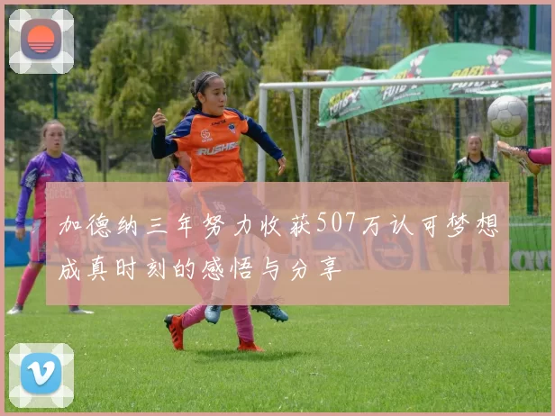 加德纳三年努力收获507万认可梦想成真时刻的感悟与分享